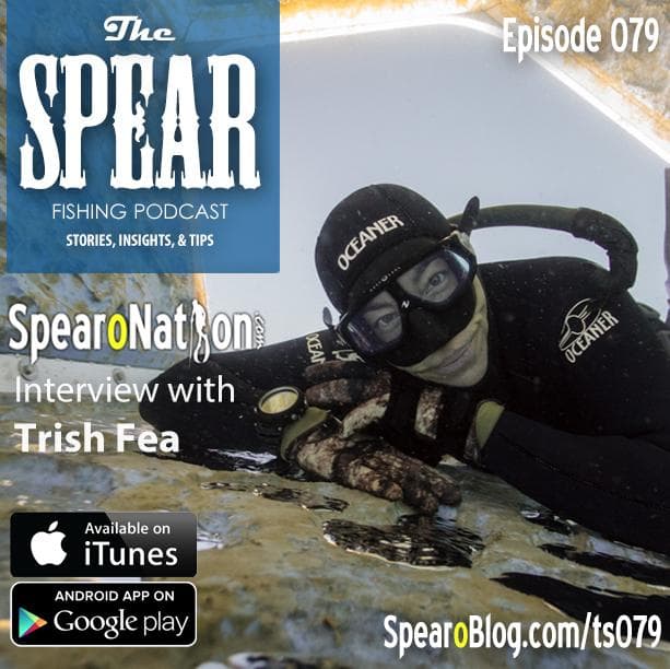 The Spear - Episode 079 - The Spear cover