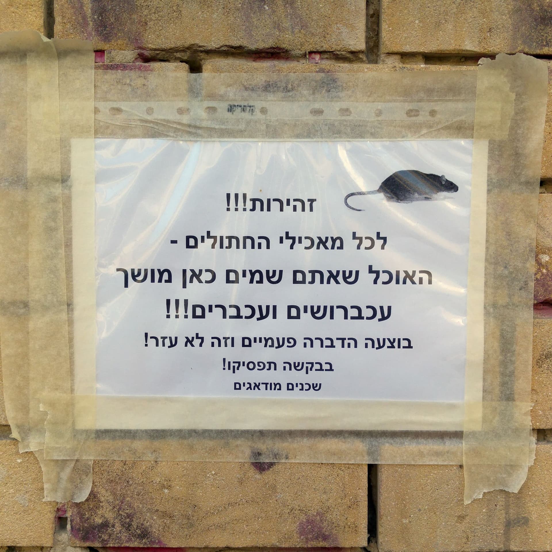 #436 Poison - Streetwise Hebrew cover