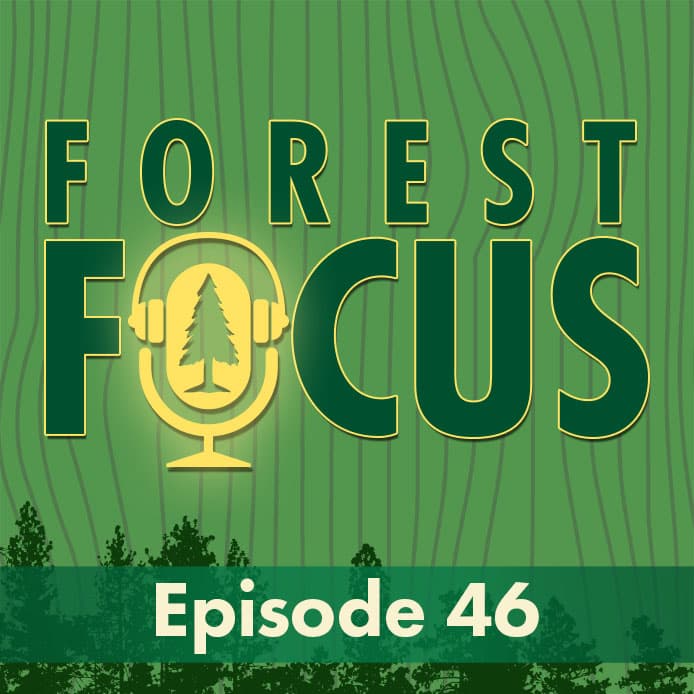 Episode 46: For the Frogs - Translocation - Forest Focus cover