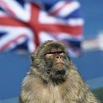 64. Gibraltar. - Memorias de un tambor cover