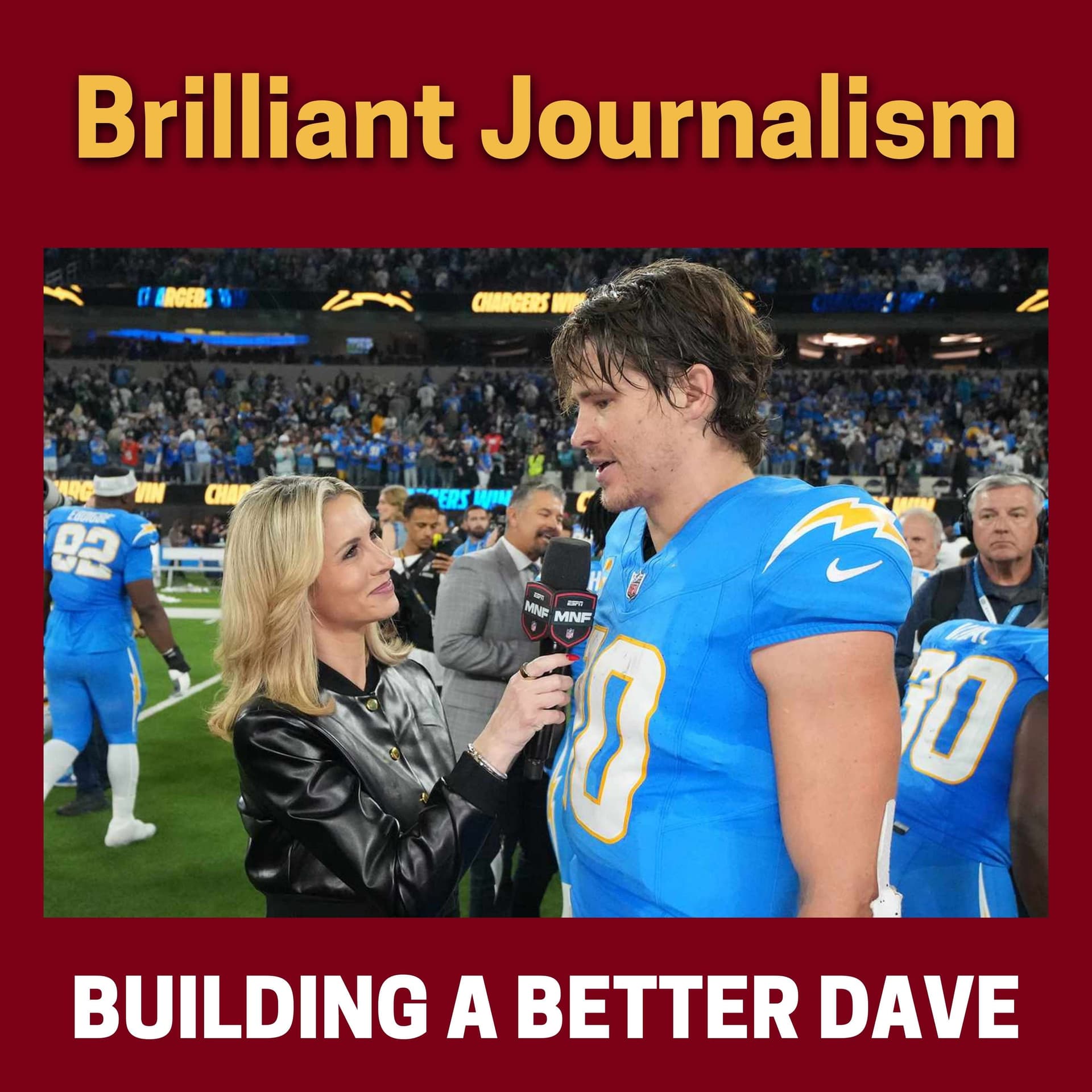 Brilliant Journalism - Building a Better Dave cover