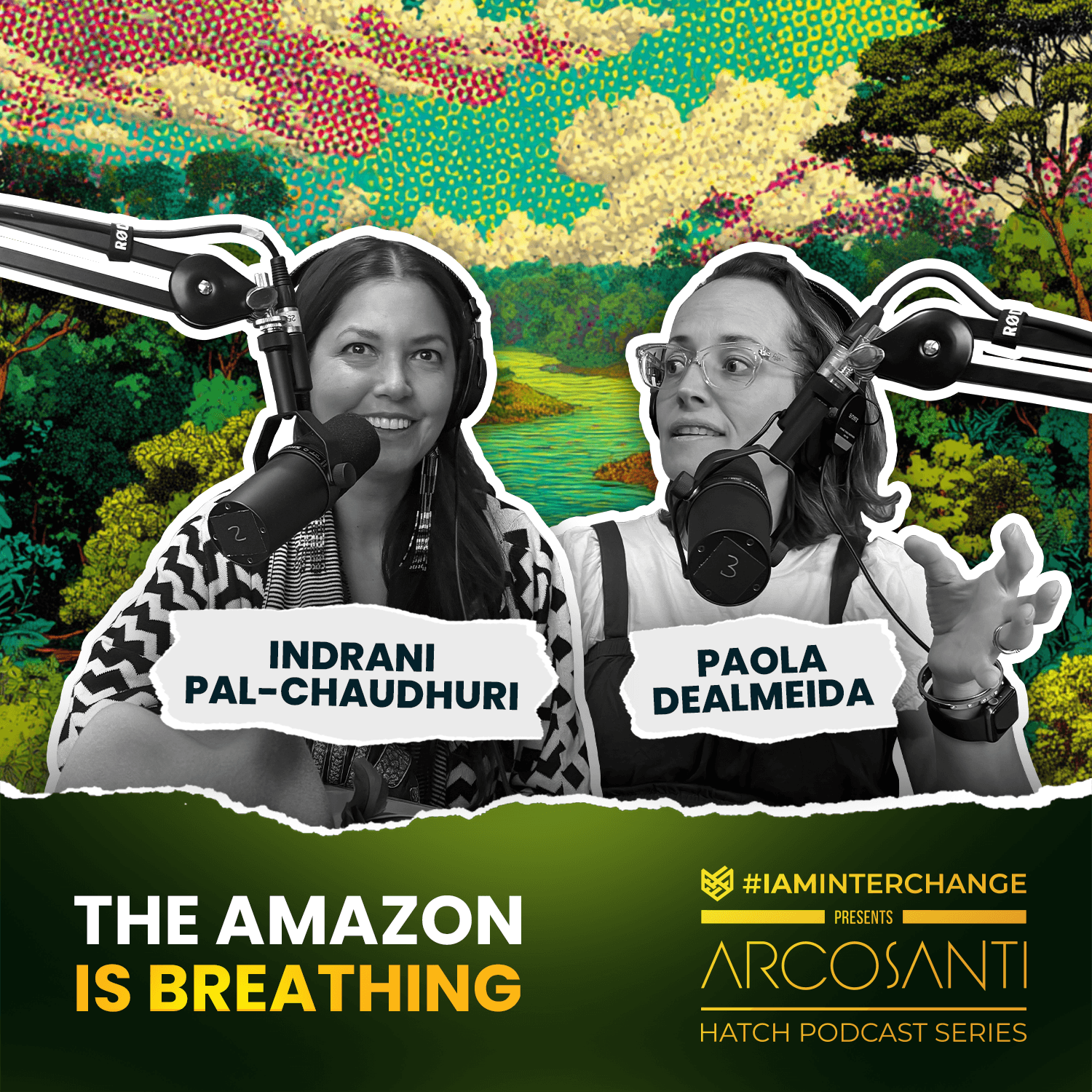 The Amazon is Breathing - I Am Interchange cover