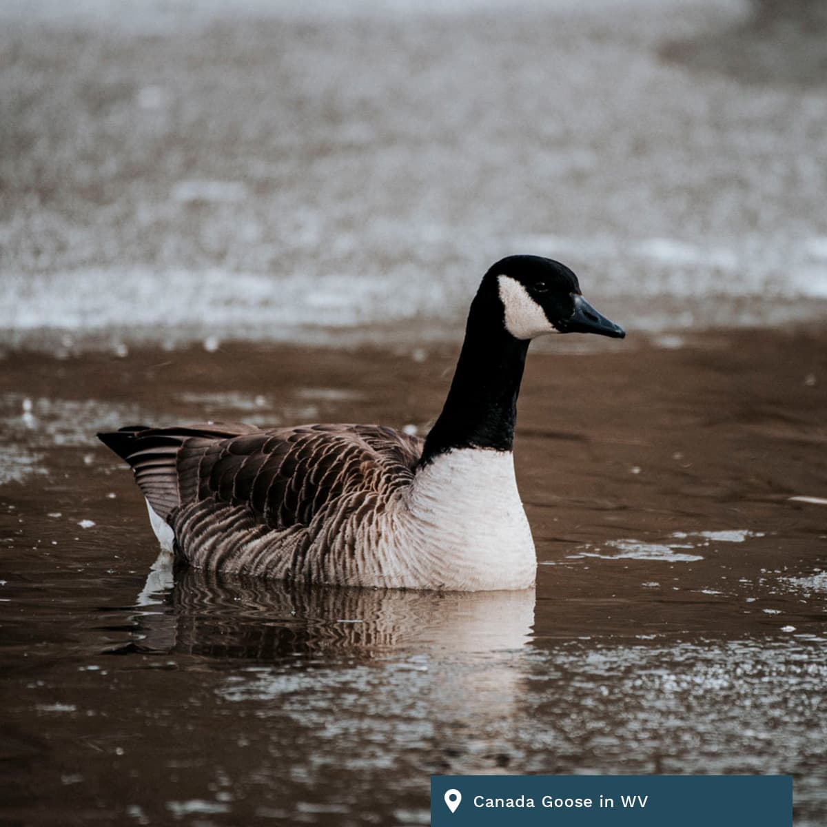 daily304 – Episode 04.08.2026 - daily304's podcast cover