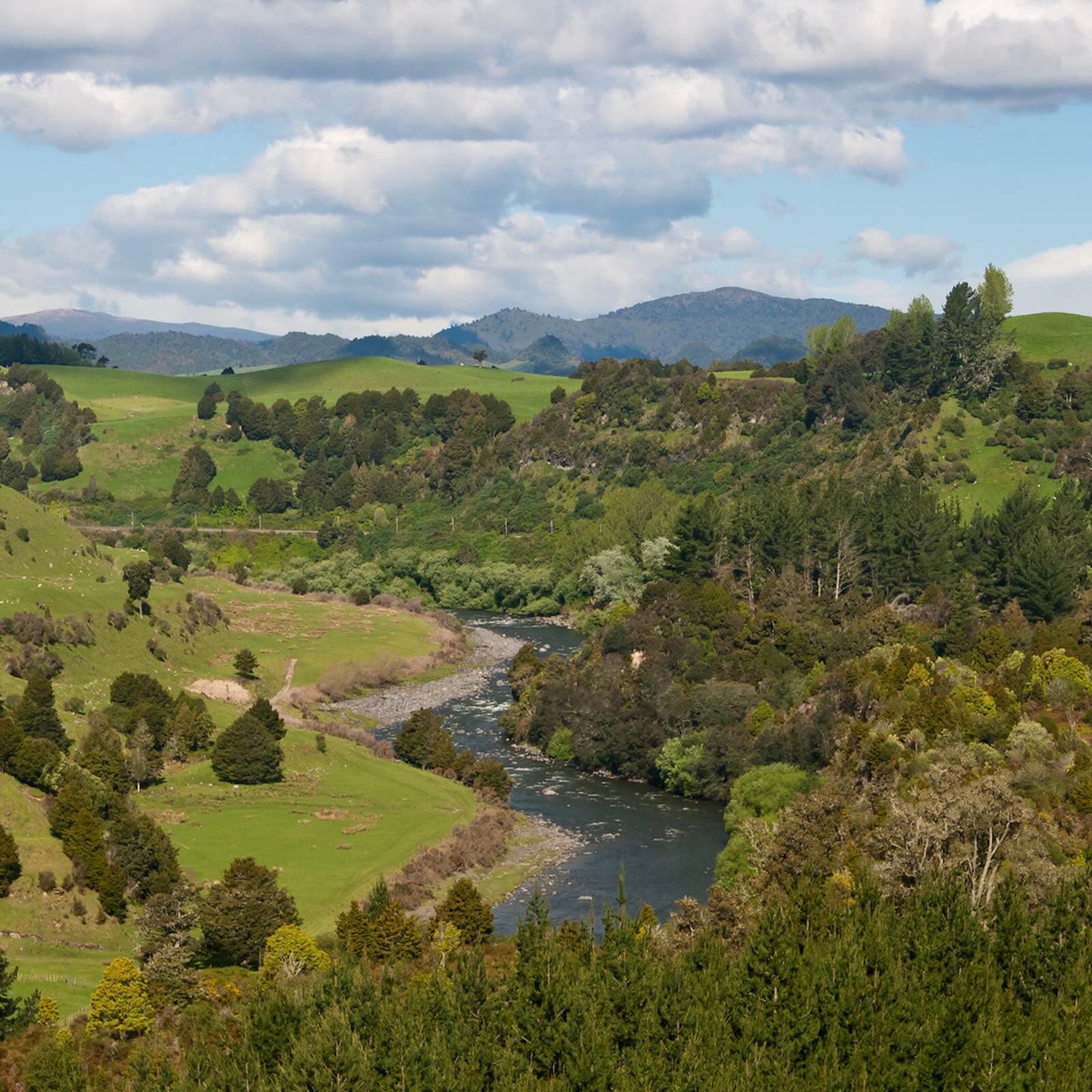 Innovative initiatives for nature recognized with World Future Policy Awards - Mongabay Newscast cover