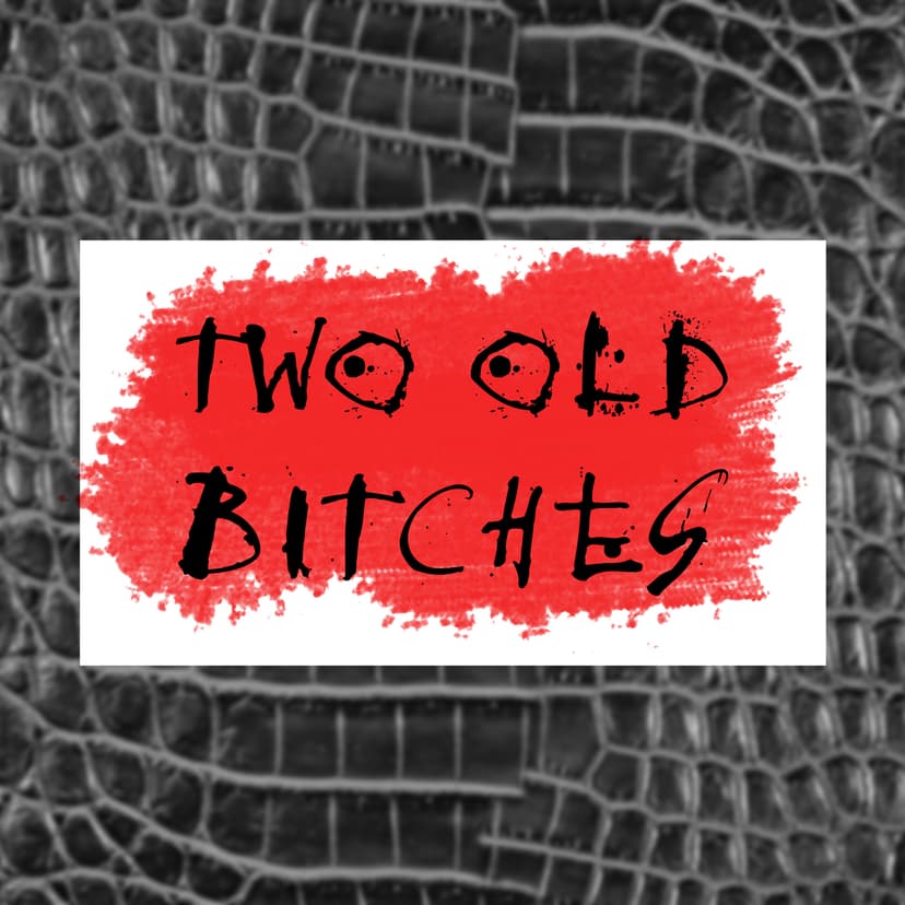 Two Old Bitches: Stories from Women who Reimagine, Reinvent and Rebel cover