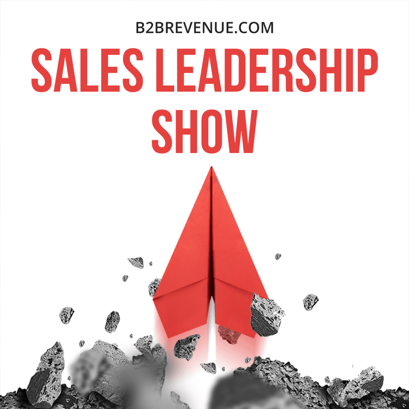 Sales Leadership & Management Show - For B2B Sales Leaders cover