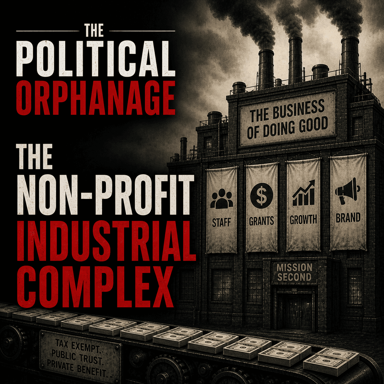 The Non-Profit Industrial Complex - The Political Orphanage cover