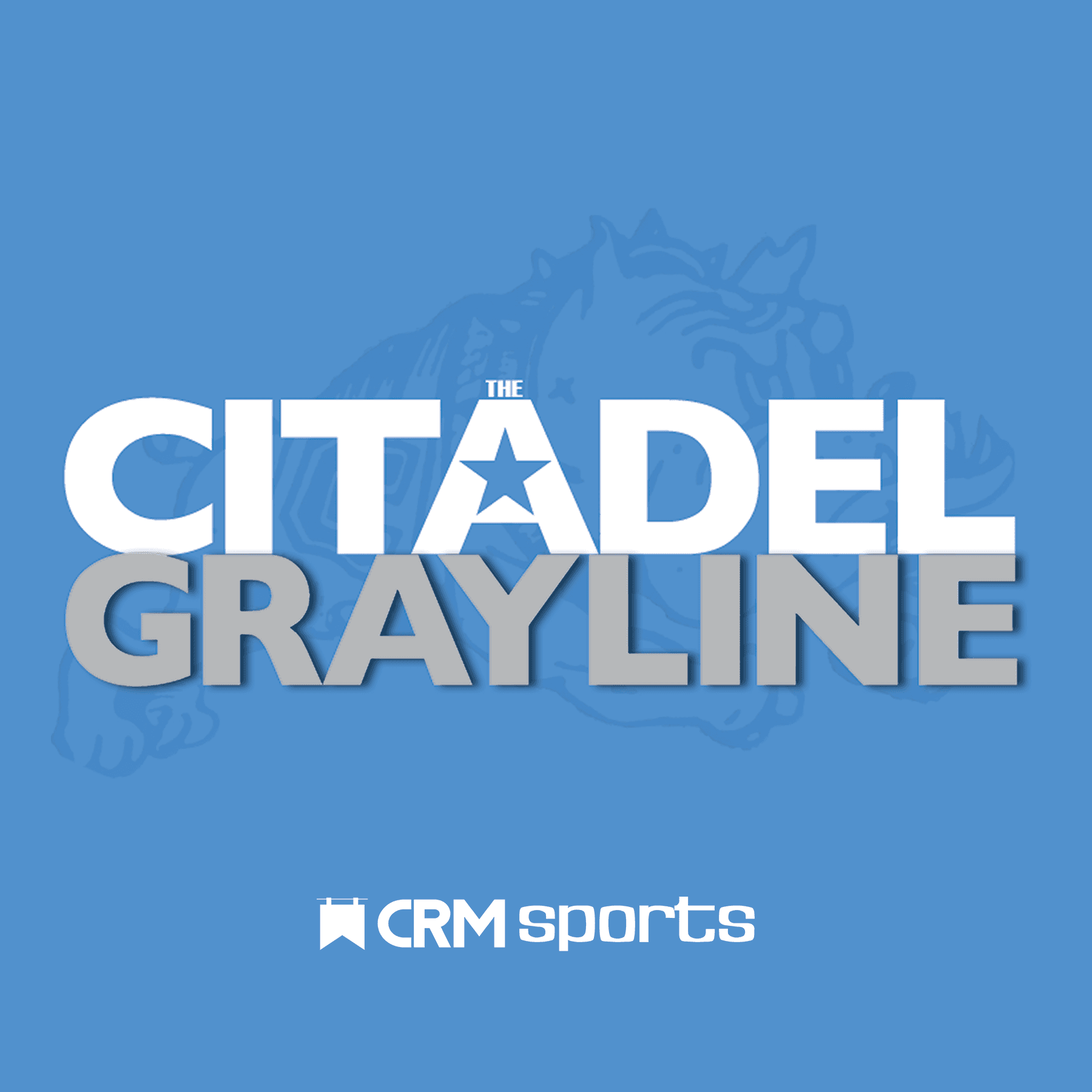 Citadel GrayLine cover