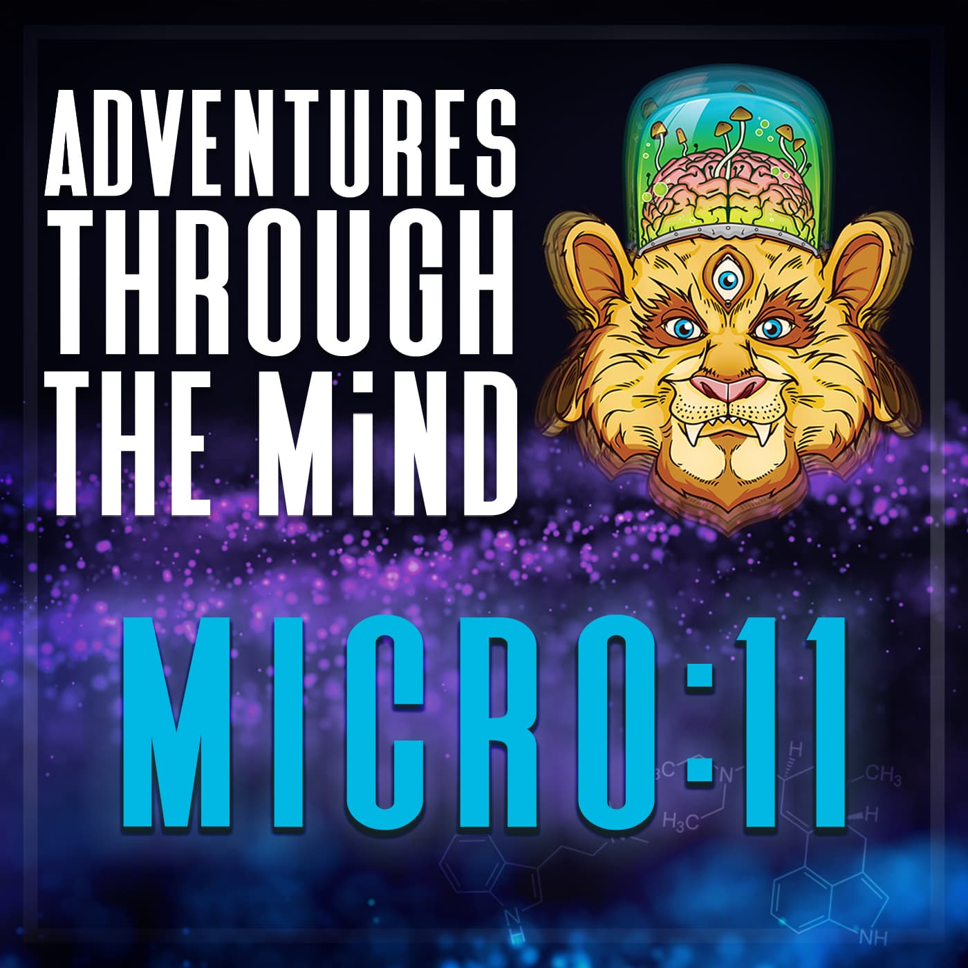 MICRO:11 - Microdosed Psilocybin, Synaptic Plasticity, and Compulsion with Dr. Mikael Palner - Adventures Through The Mind cover