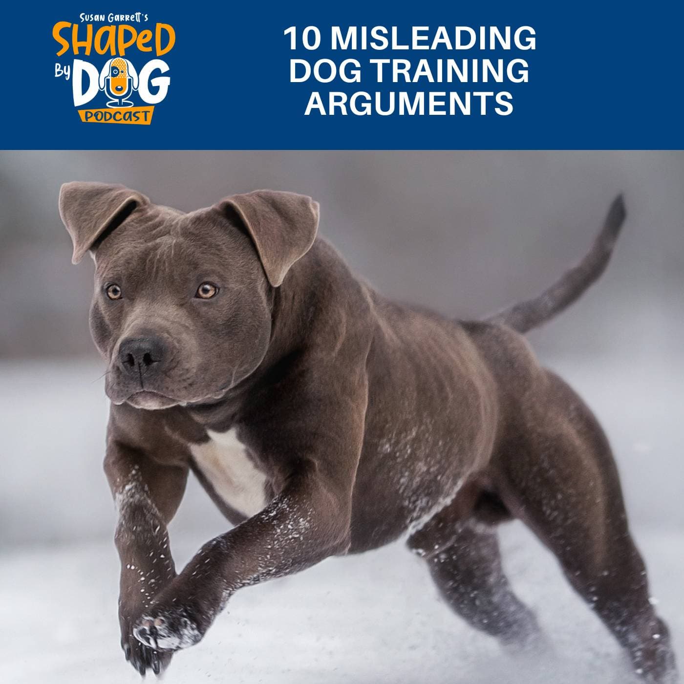 10 Misleading Dog Training Arguments #319 - Shaped by Dog with Susan Garrett cover