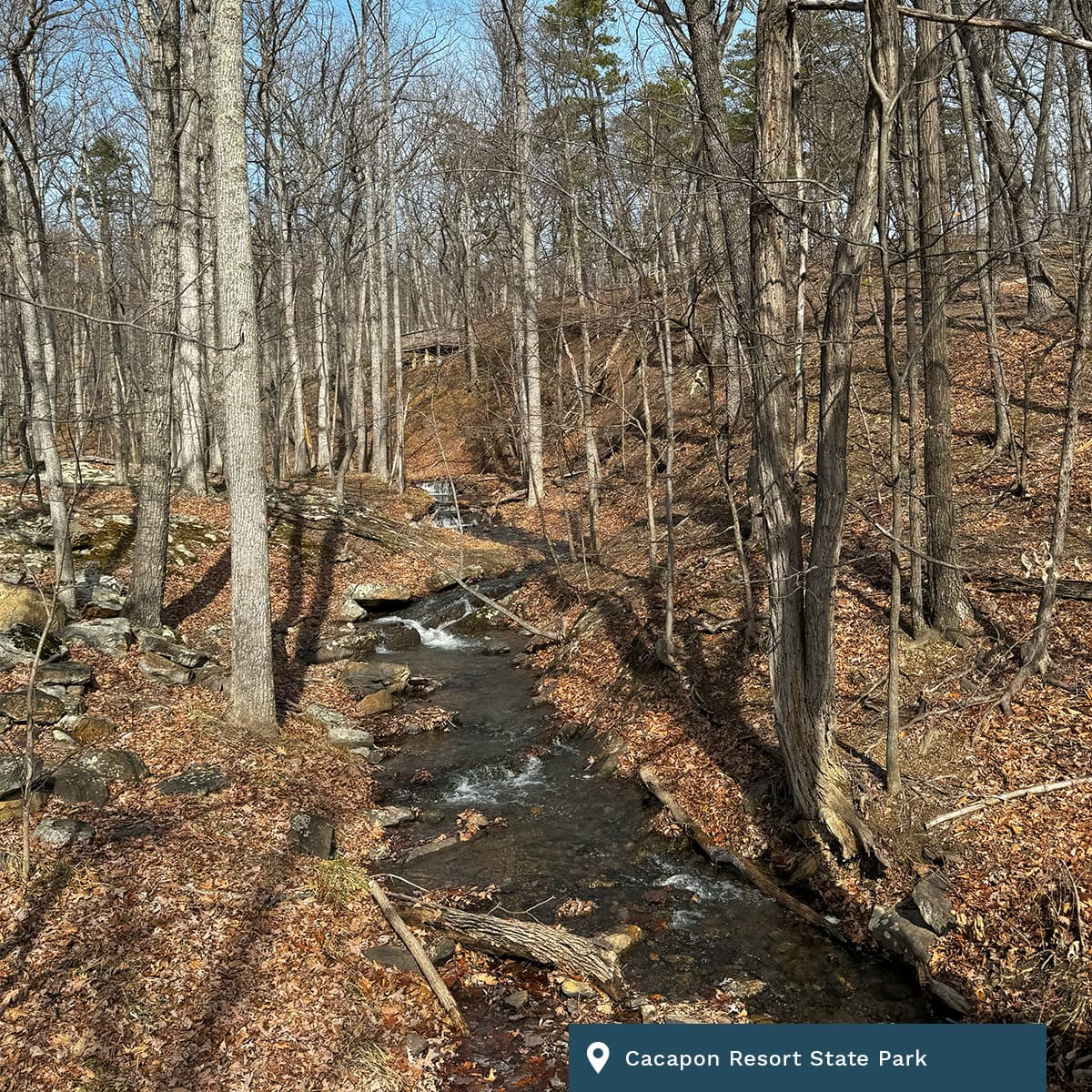 daily304 – Episode 02.18.2026 - daily304's podcast cover