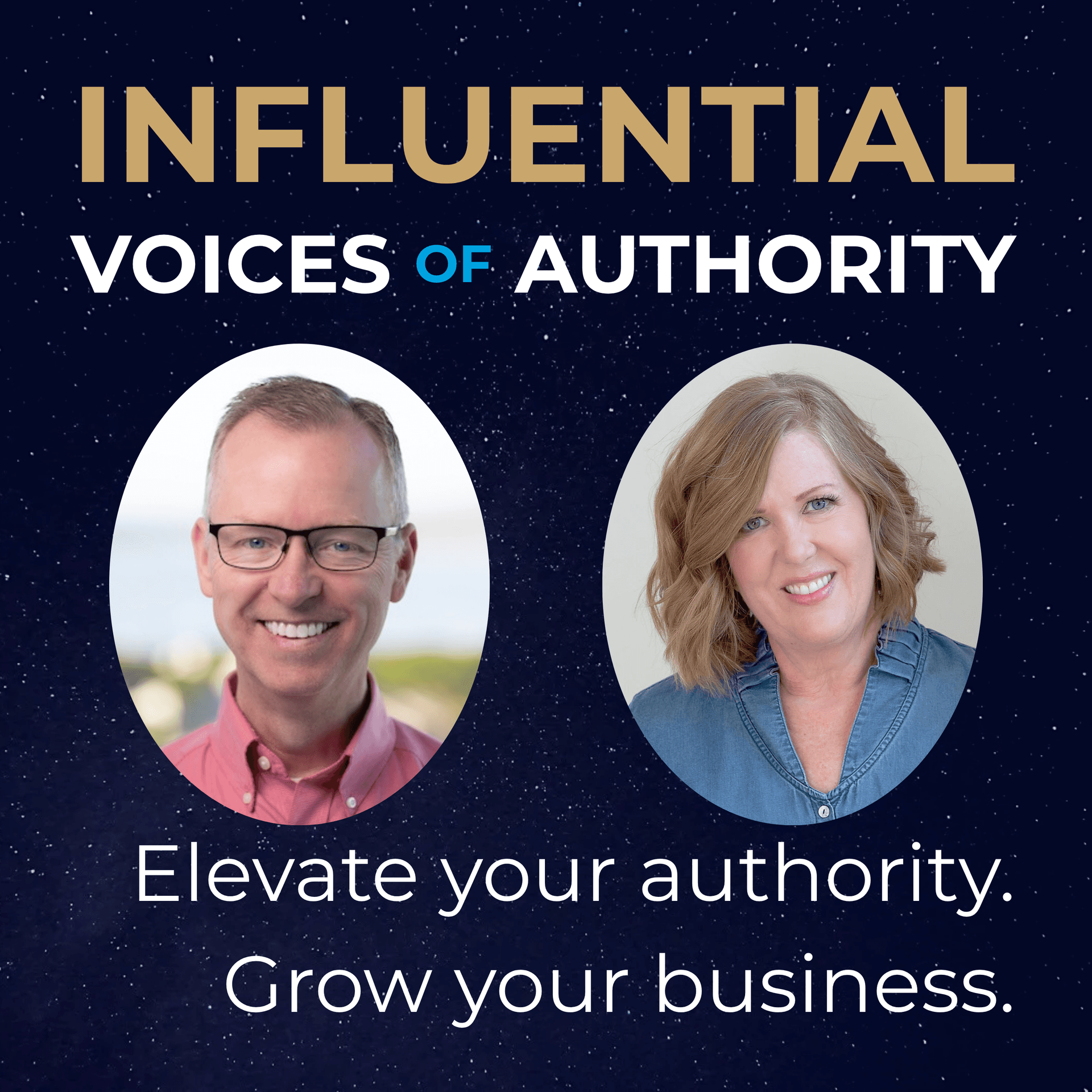 Transforming Invisible Expertise into Influence – IVA 561 - Influential Voices of Authority cover