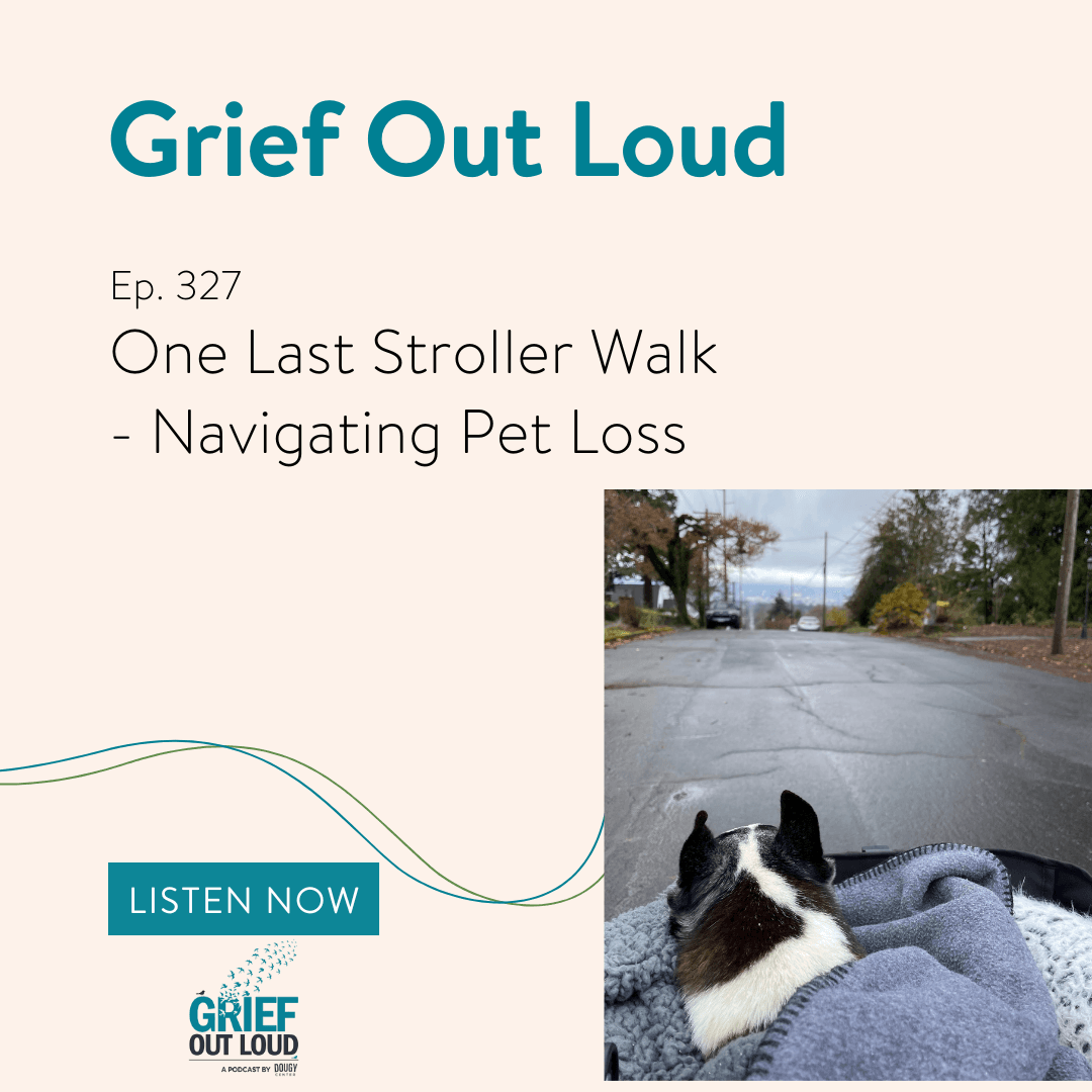 One Last Stroller Walk - Navigating Pet Loss - Grief Out Loud cover