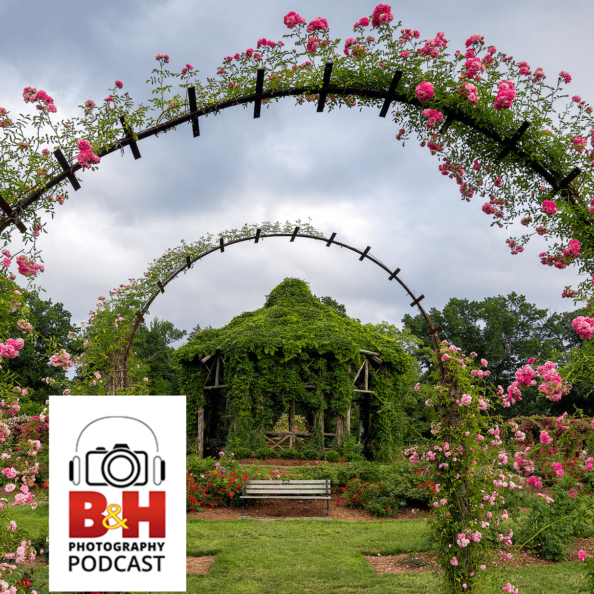 The B&H Photography Podcast/OPTIC Conference Photo Walk — B&H Photography Podcast cover
