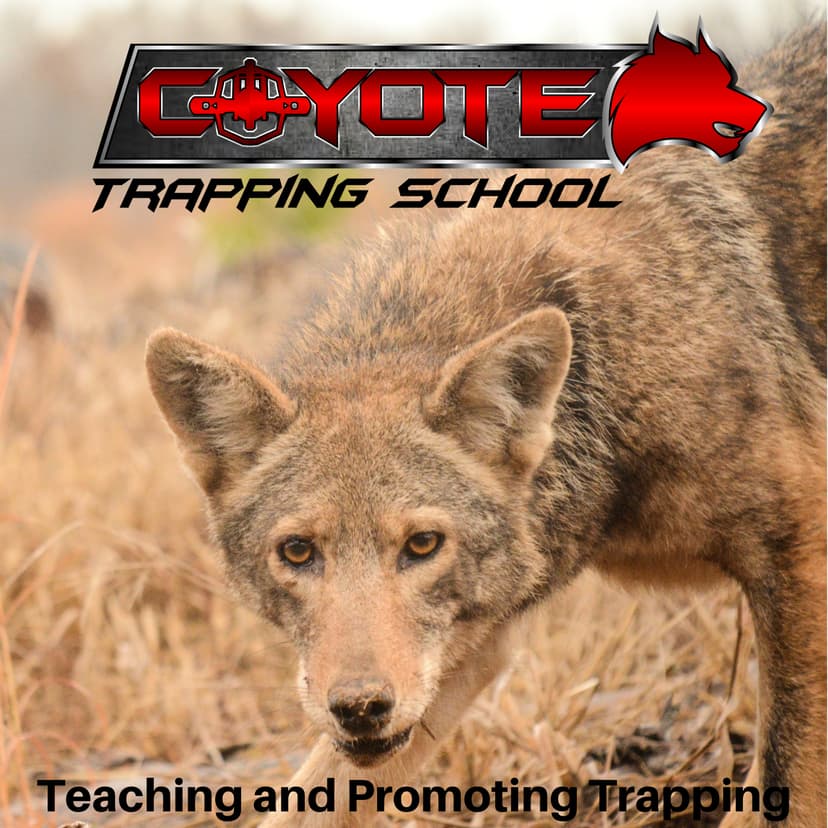 Coyote Trapping School Podcast cover