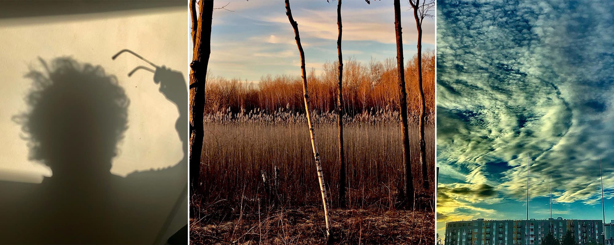 Episode 670 - Sven Birkerts - The Virtual Memories Show cover