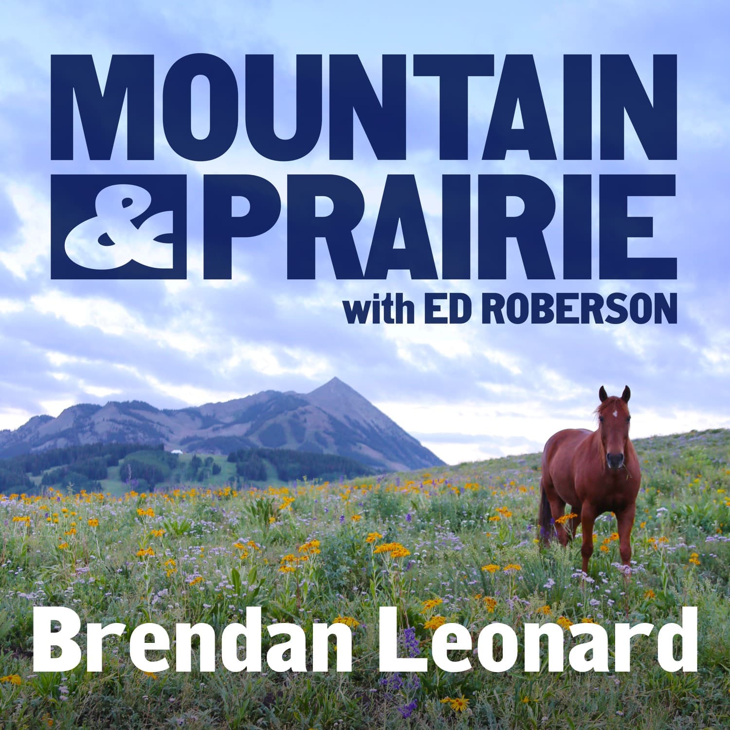 Brendan Leonard Returns – On Writing, Teaching, and Staying Weird - Mountain & Prairie with Ed Roberson cover