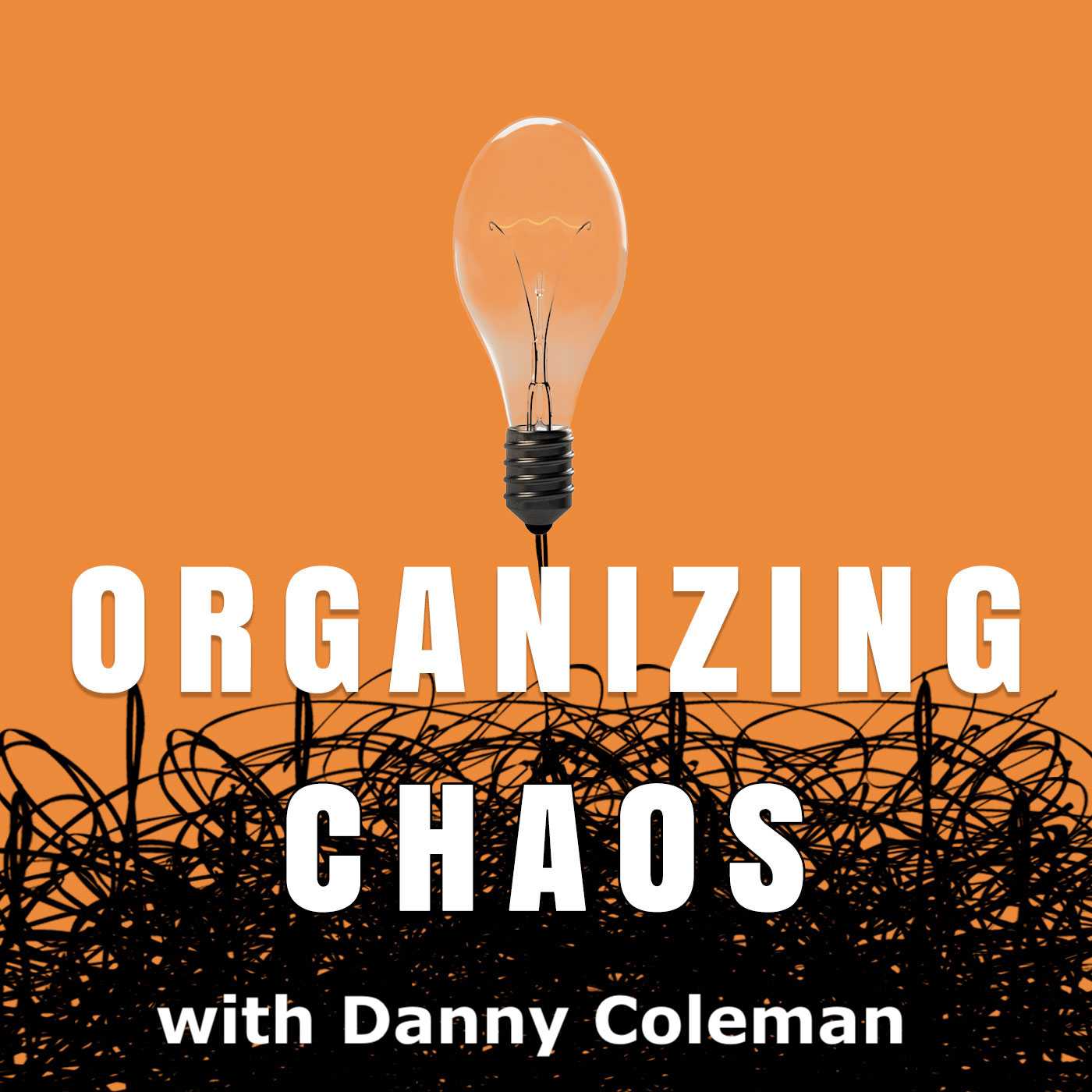 EP48 - Step 7 of My Process (Finding Your Integrator) - Organizing Chaos cover