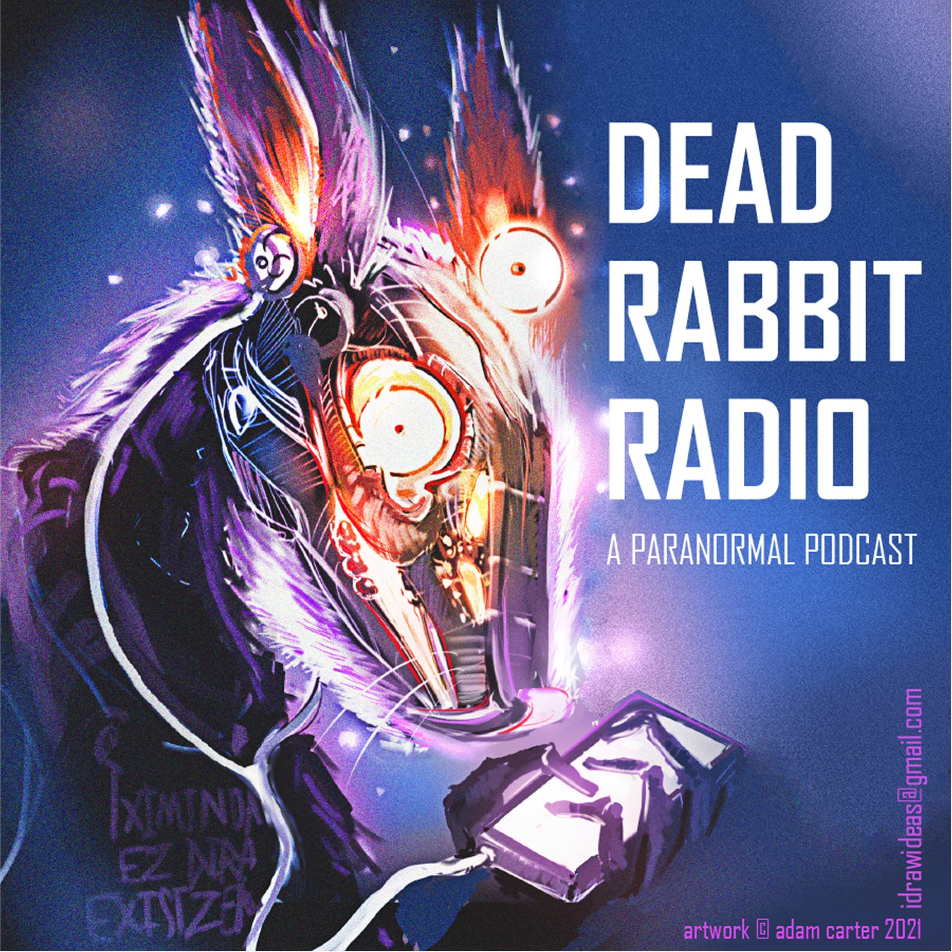 EP 879 - The Portal To Oblivion — Dead Rabbit Radio The Daily Paranormal Podcast cover