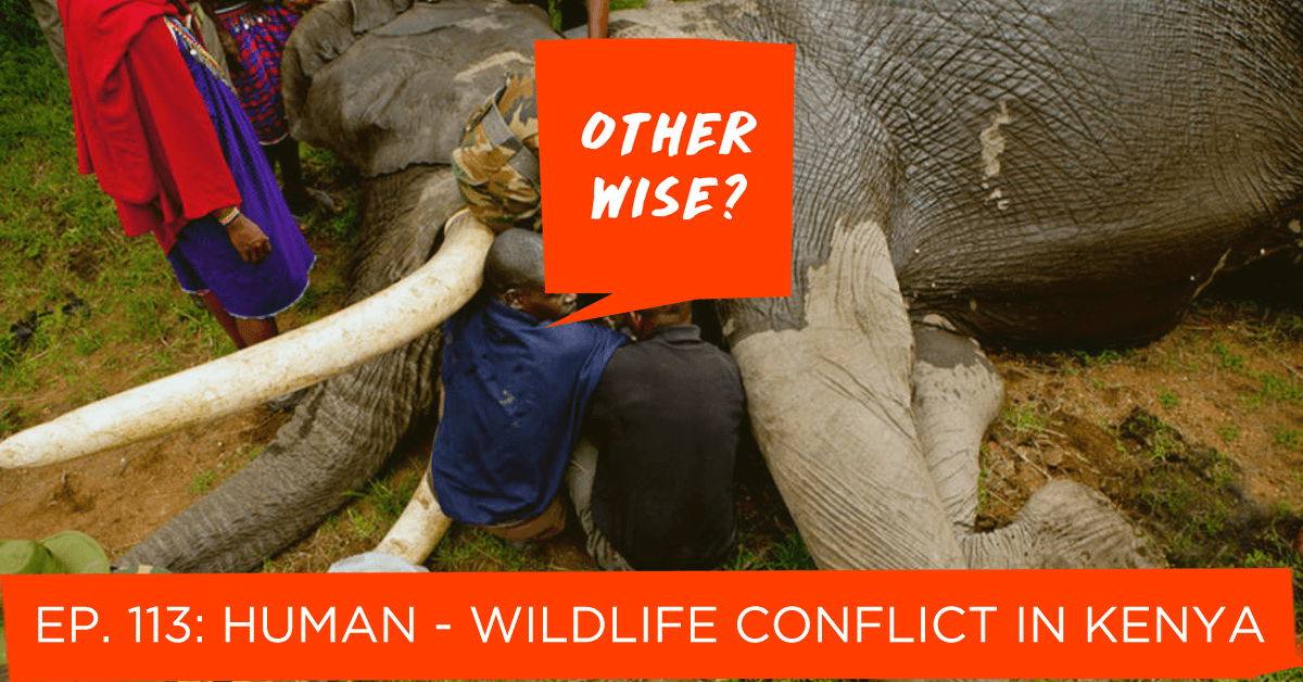 Episode 113: Human - Wildlife Conflict in Kenya - Otherwise? cover