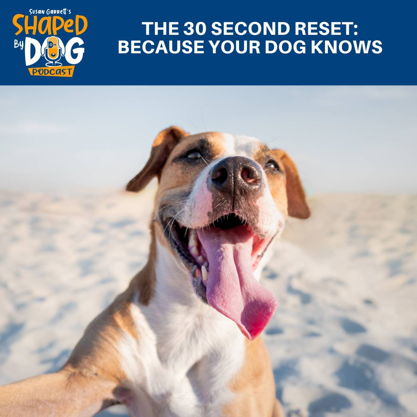 The 30 Second Reset - Because Your Dog Knows #326 - Shaped by Dog with Susan Garrett cover