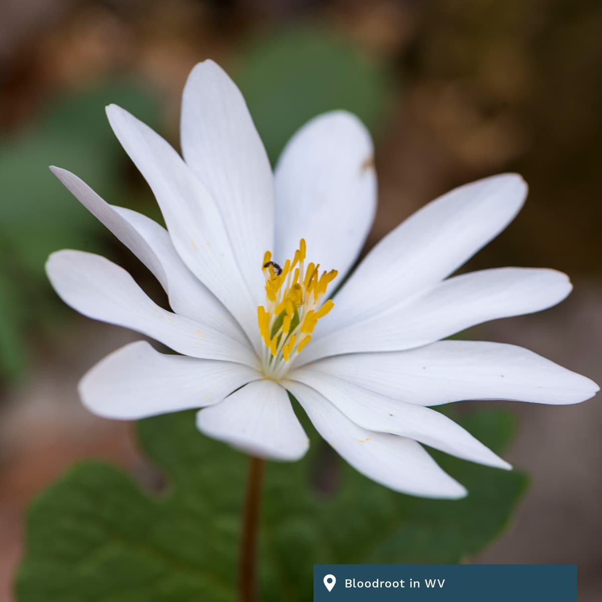 daily304 – Episode 04.07.2026 - daily304's podcast cover