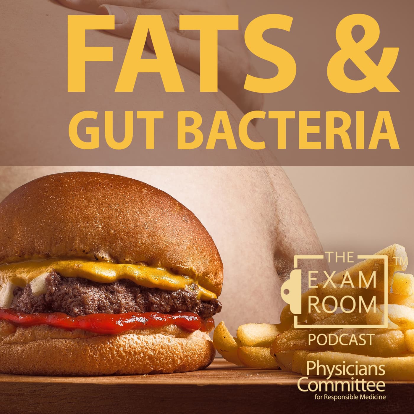 Fat & Gut Bacteria - The Exam Room by the Physicians Committee cover
