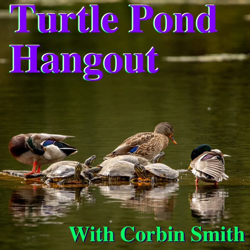 Turtle Pond Hangout cover