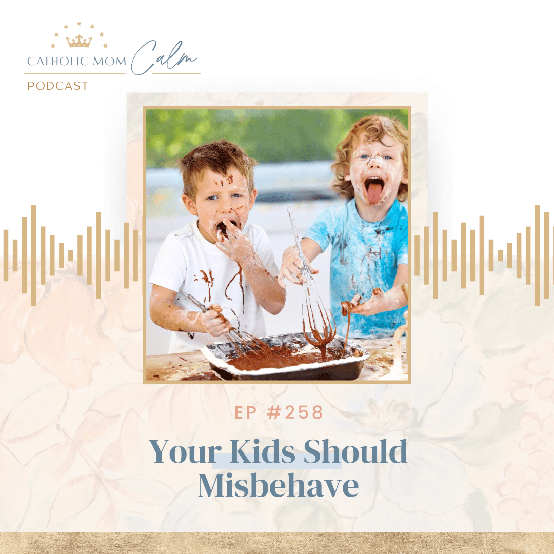 Your Kids Should Misbehave - Catholic Mom Calm cover