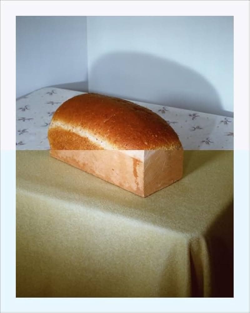 Clips: Jo Ann Callis - The Modern Art Notes Podcast cover