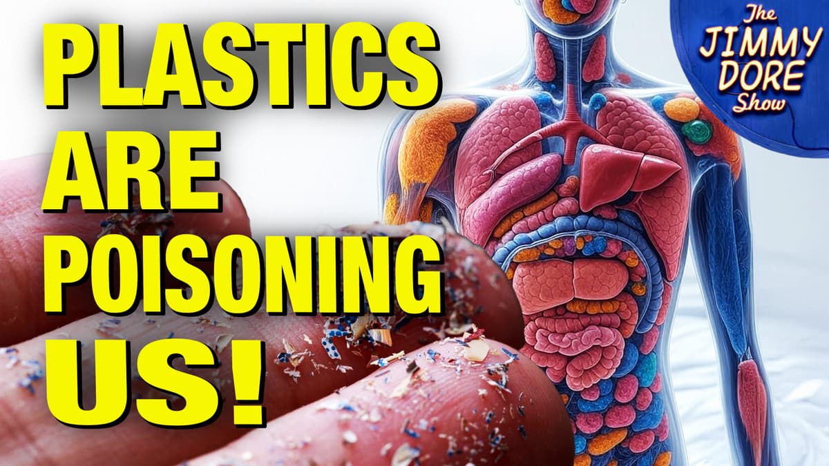 Here’s How To Fight Microplastics  Infecting Our Bodies & Brains! w/ Kim Bright - The Jimmy Dore Show cover