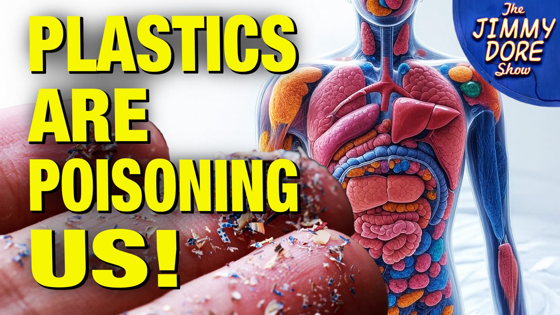 Here’s How To Fight Microplastics  Infecting Our Bodies & Brains! w/ Kim Bright — The Jimmy Dore Show cover