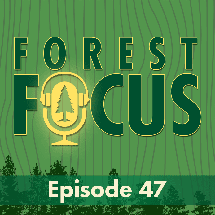 Episode 47: For the Frogs - Restoration - Forest Focus cover