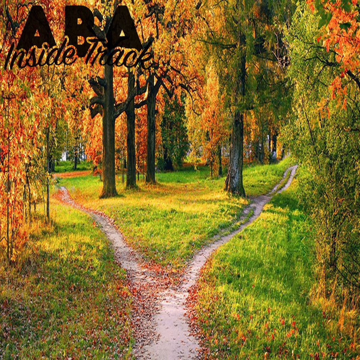 Episode 213 - Decision Making for Kids - ABA Inside Track cover