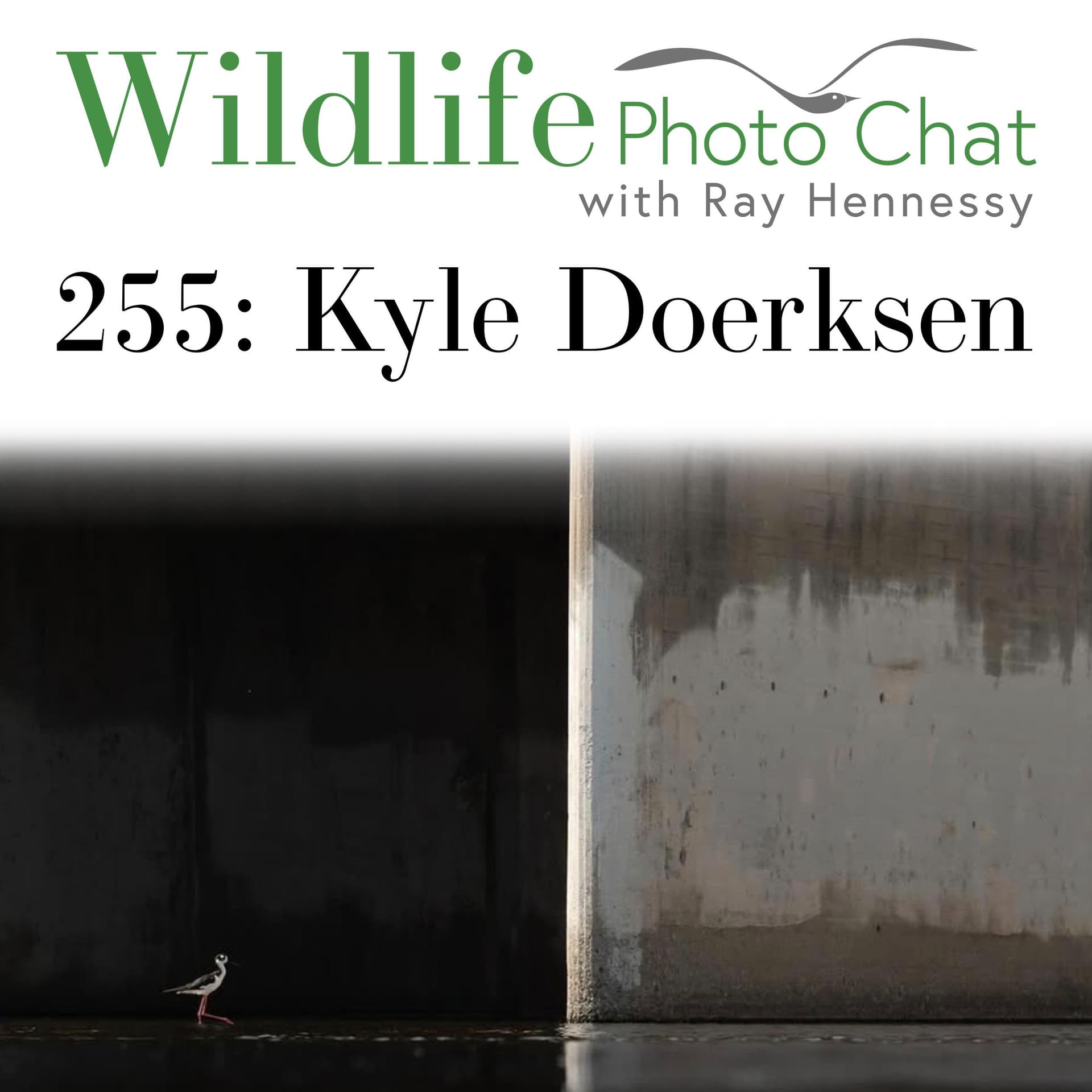 255: Kyle Doerksen — Wildlife Photo Chat cover
