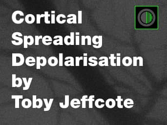 Cortical Spreading Depolarisation in Neurological Disease - An Introduction — Neuro Resus cover