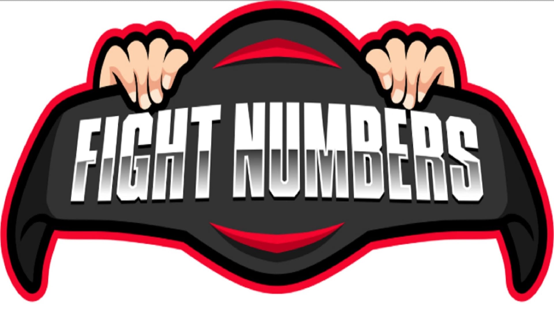 Fight Numbers cover