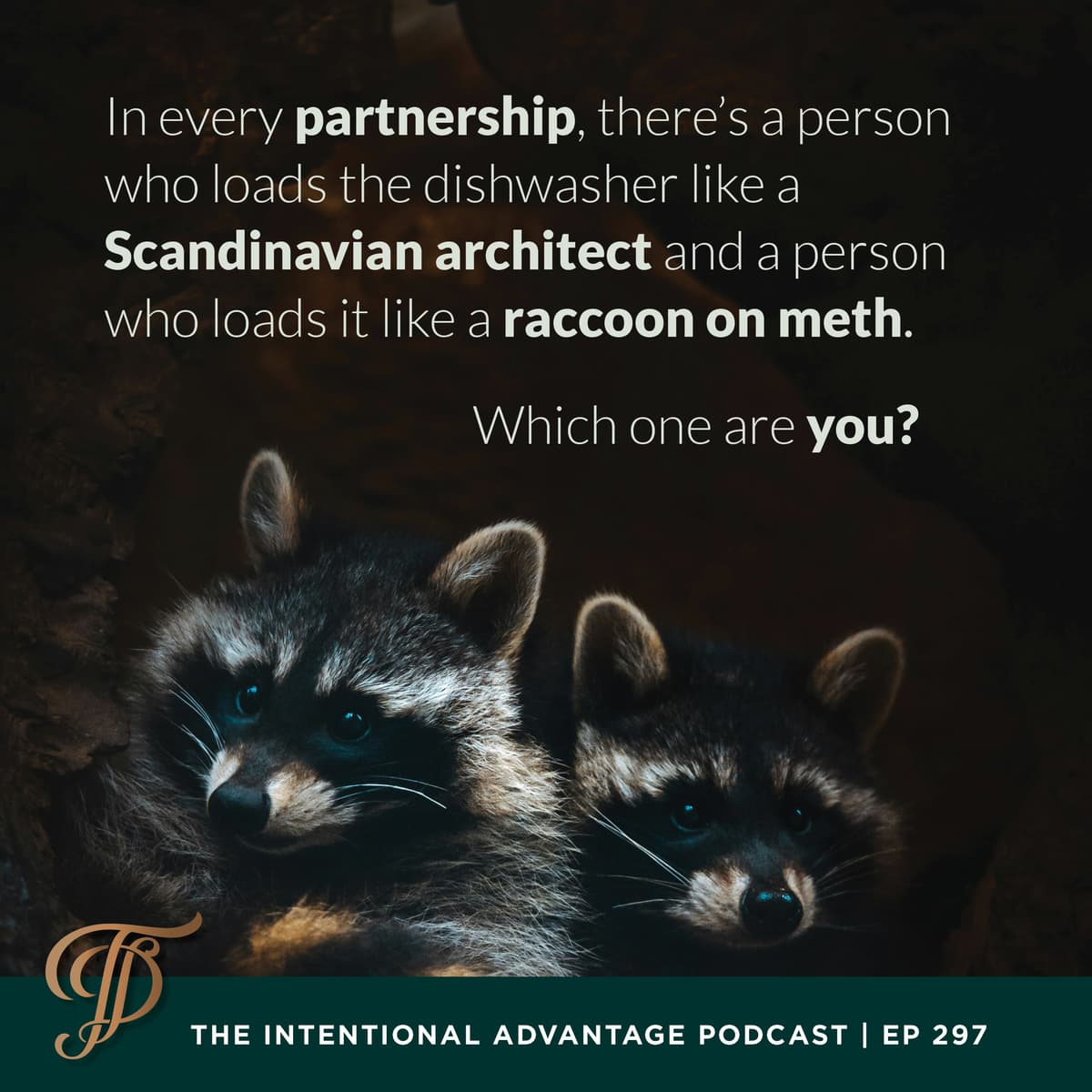 Are You the Raccoon or the Architect? - The Intentional Advantage cover
