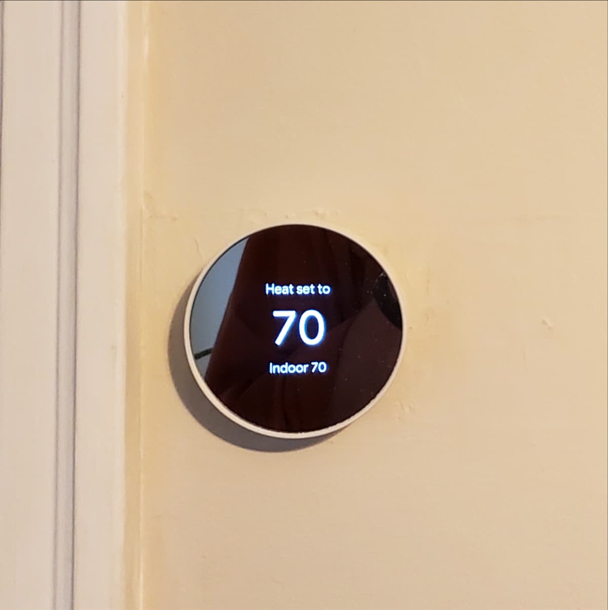 #4335 Frankie, My Dear, I Don’t Give A Damn - TBTL: Too Beautiful To Live cover