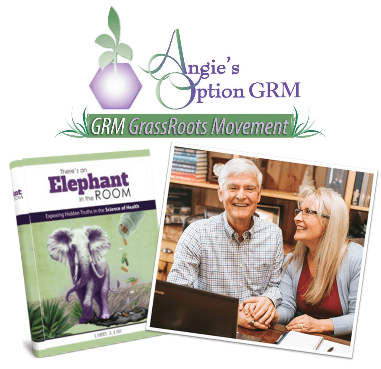 The Elephant: Hidden Truths in the Science of Health cover