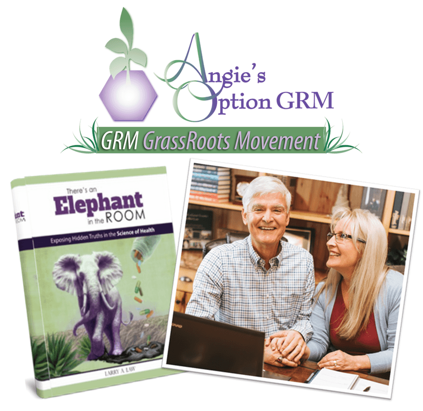 The Elephant: Hidden Truths in the Science of Health cover