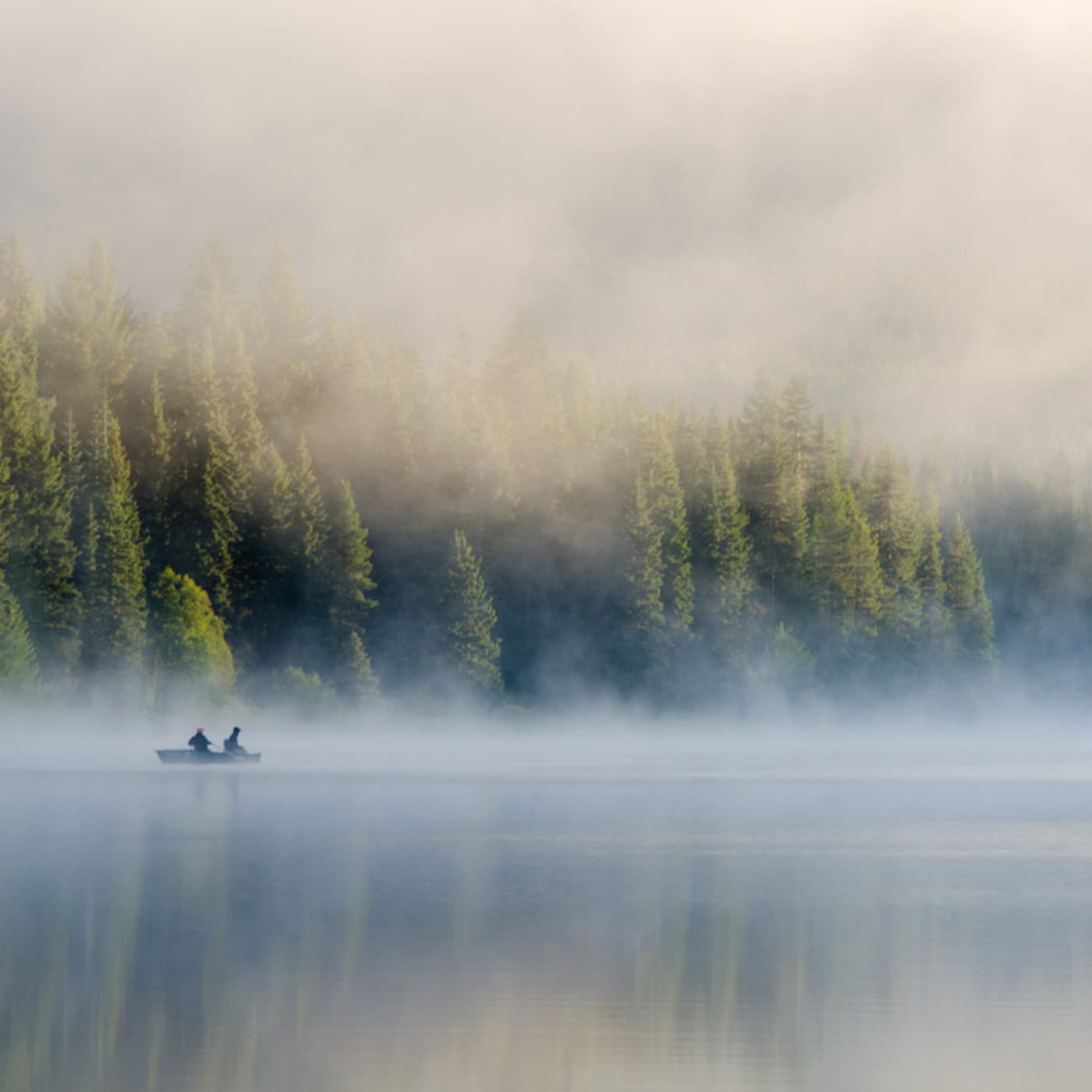 #52 — Finding Our Way in the Cosmos - Making Sense with Sam Harris cover