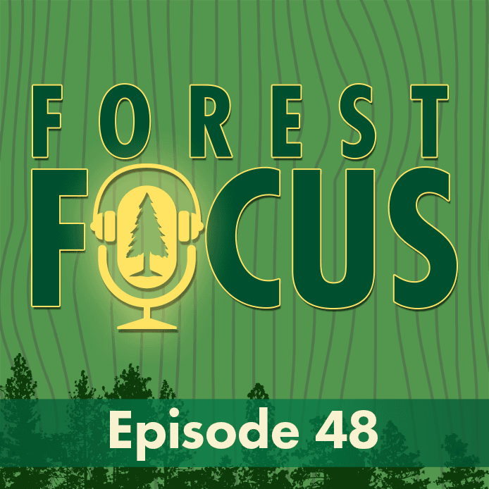 Episode 48: For the Frogs - Construction - Forest Focus cover
