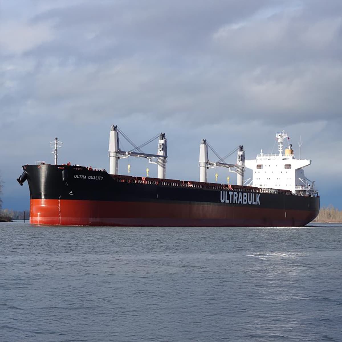 #4529 The Poobody Award - TBTL: Too Beautiful To Live cover