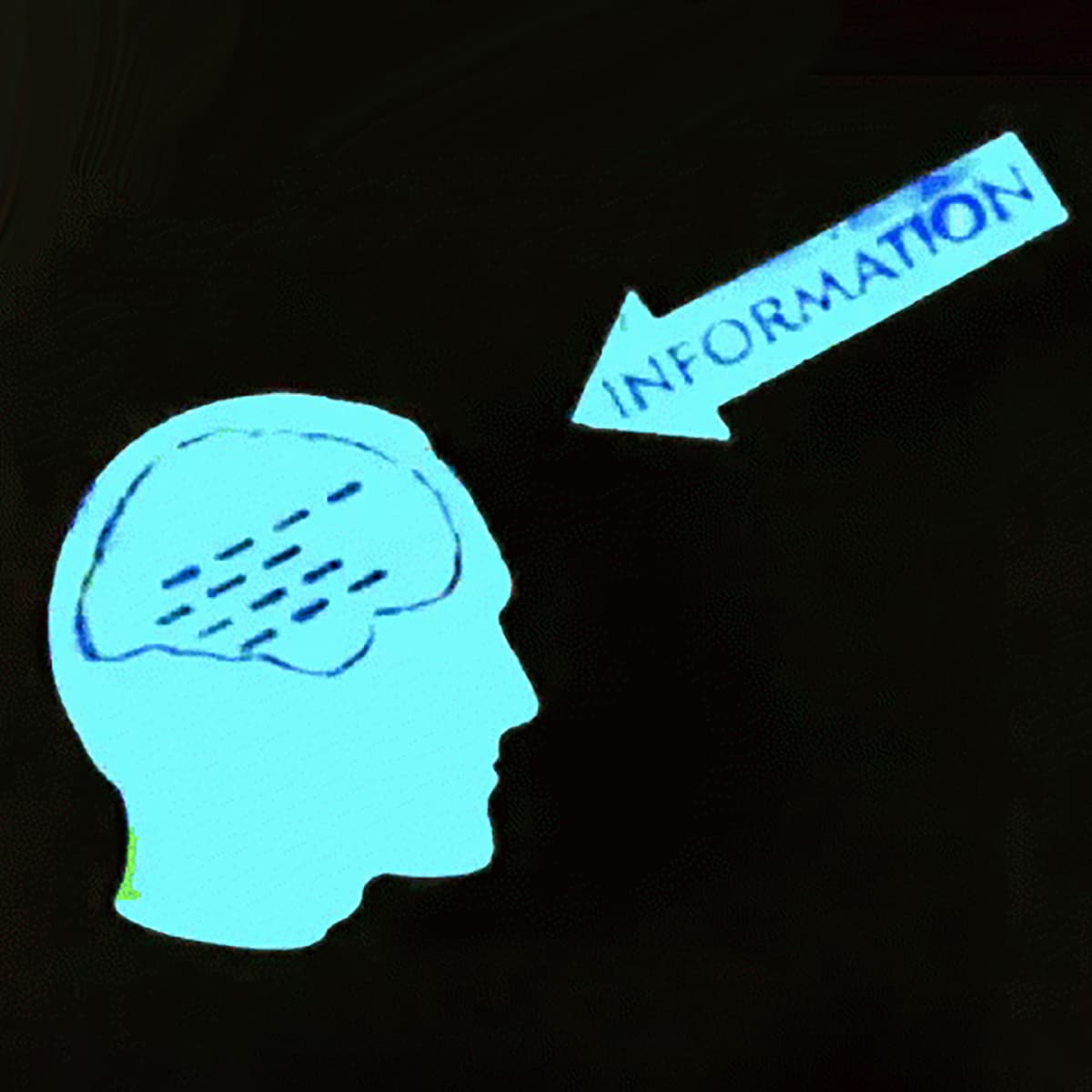 #4523 The Dankest Generation - TBTL: Too Beautiful To Live cover