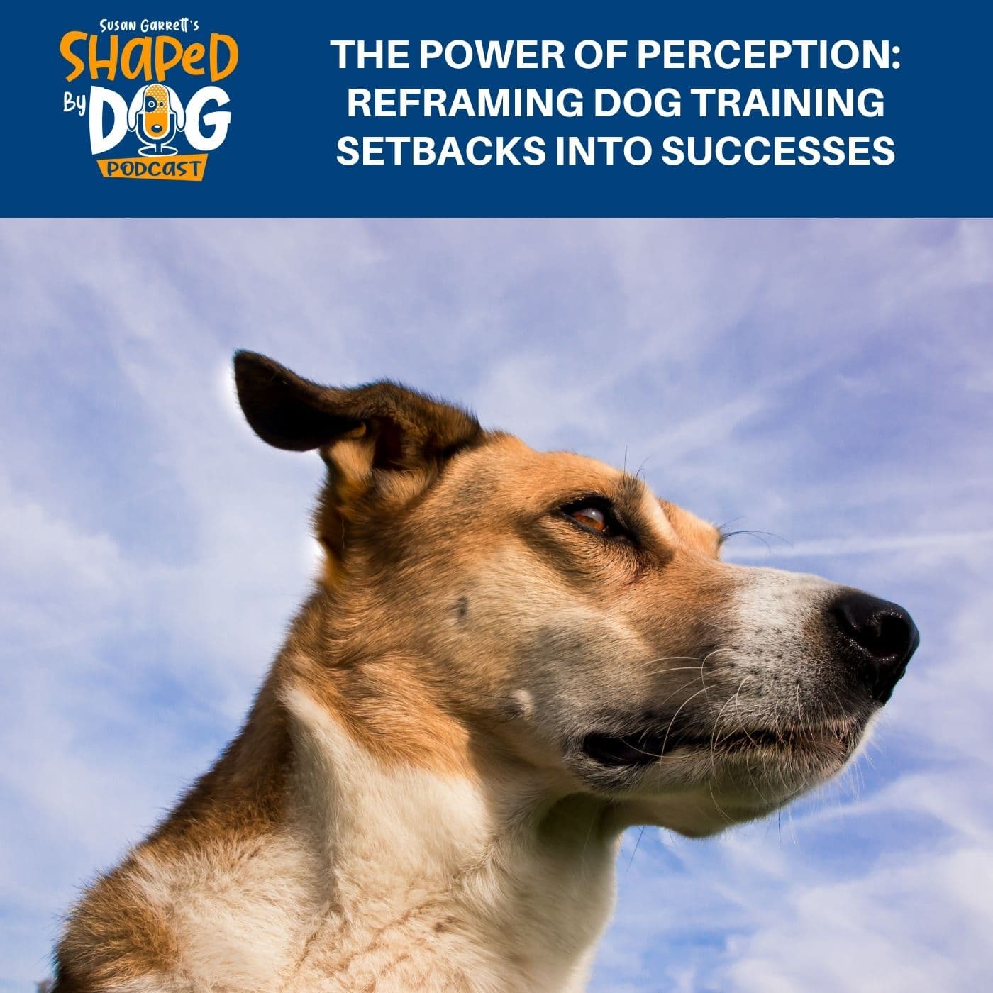 The Power Of Perception: Reframing Dog Training Setbacks Into Successes #287 - Shaped by Dog with Susan Garrett cover