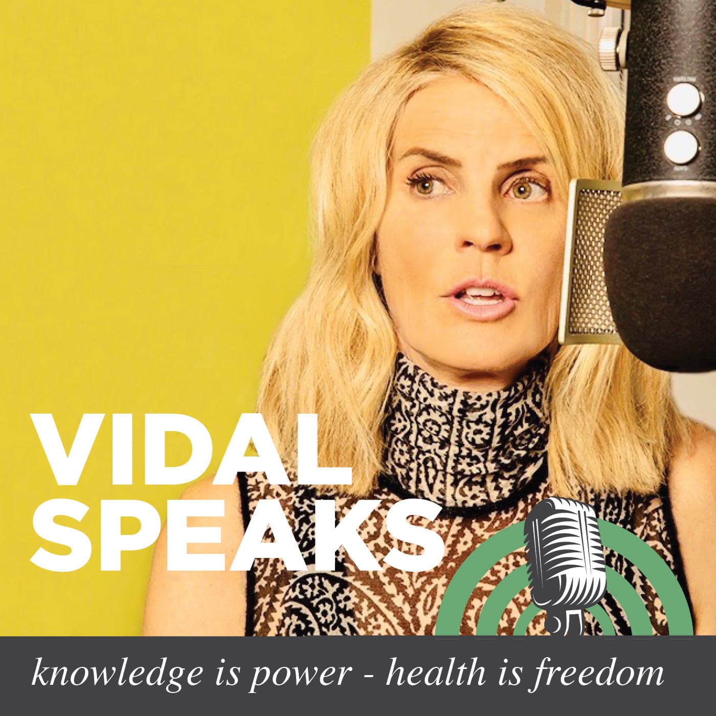 Vidal Speaks cover