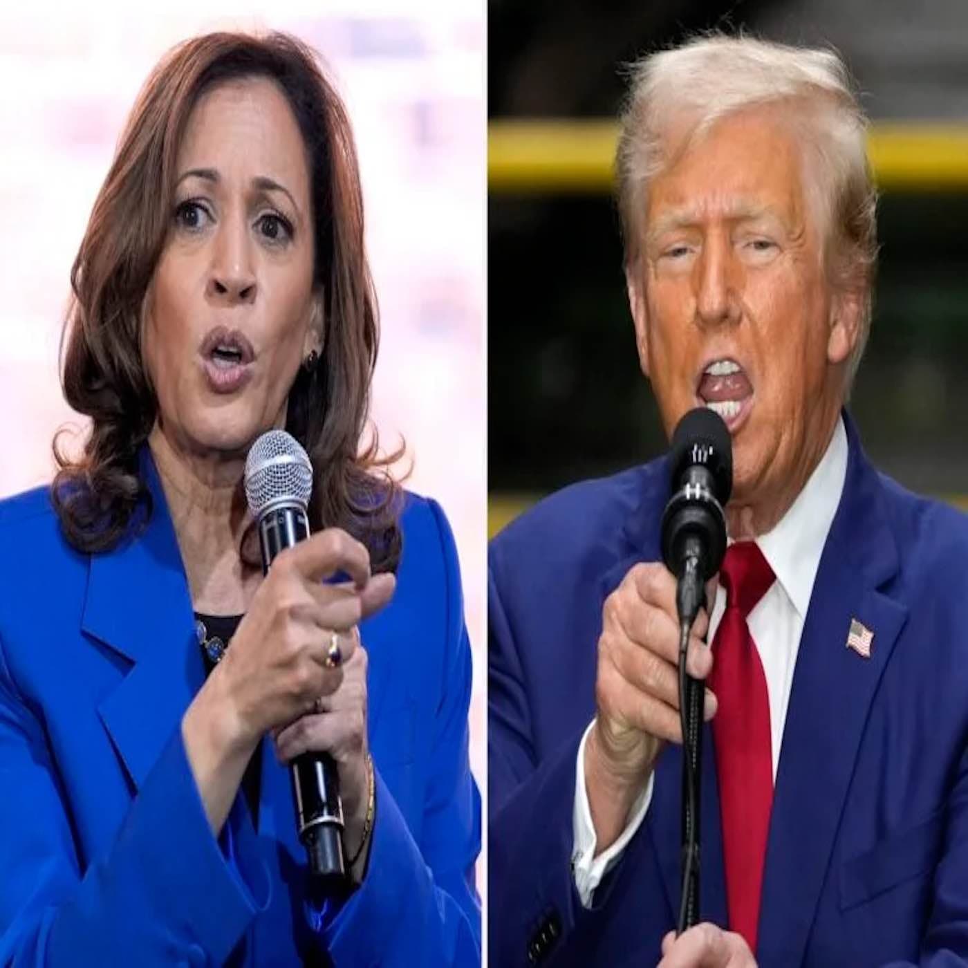 Harris and Trump - Podcast Interviews cover