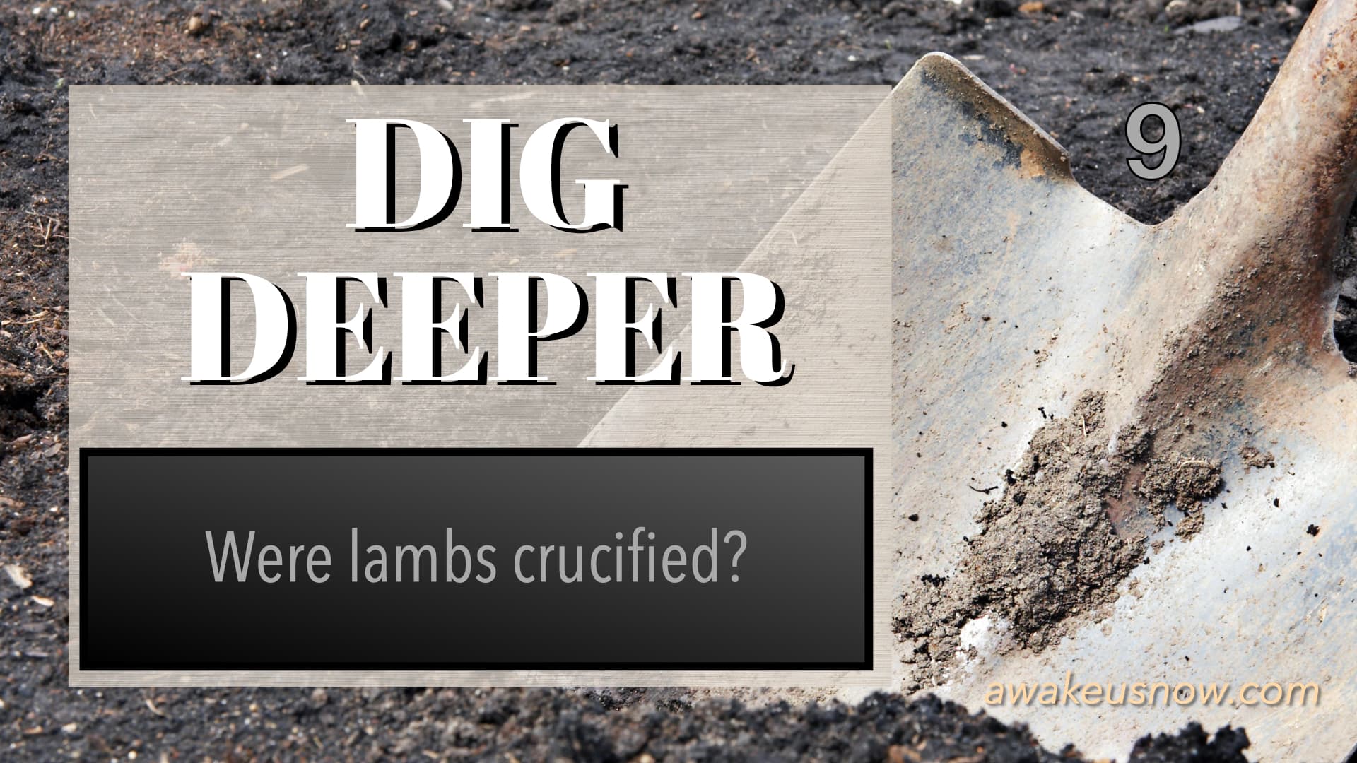 Dig Deeper - Week 9: Were Lambs Crucified? - Awake Us Now cover