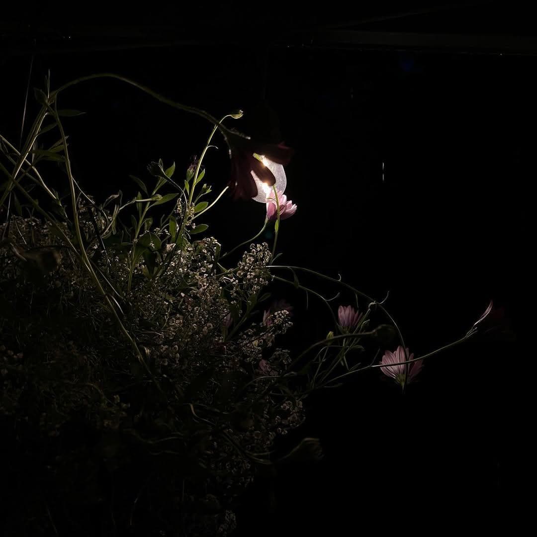 FP605 - Joe Monk, Emperor of Space: Lies, Damned Lies, and Statistics - The Skinner Co. Network cover